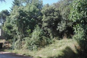 Teren construibil 749 mp, Korifes Kavala anunturi imobiliare Grecia