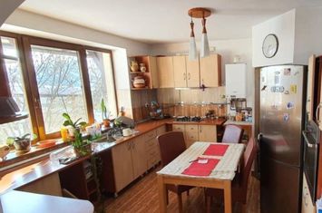 Vilă - 6 camere de vanzare TARGU LAPUS - Maramures anunturi imobiliare Maramures