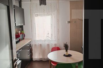 Apartament 2 camere de vanzare SAGULUI - Timis anunturi imobiliare Timis