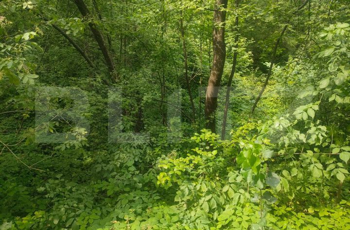Teren de vanzare HORODNIC - Suceava anunturi imobiliare Suceava