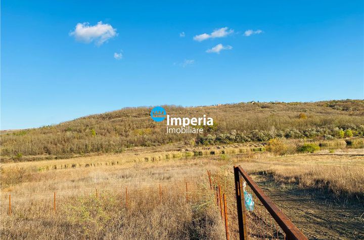 Teren Intravilan de vanzare SOROGARI - Iasi anunturi imobiliare Iasi