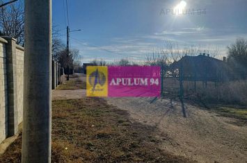Săbăreni, teren 6200 mp, construibil, cu utilități anunturi imobiliare Giurgiu