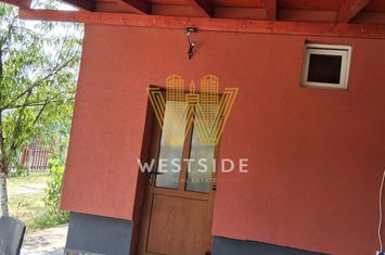 Casa individuala de inchiriat, zona UMT anunturi imobiliare Timis