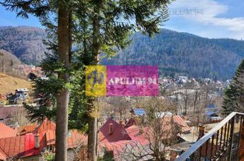 Pensiune de vânzare în Bușteni - Zonă deosebită anunturi imobiliare Prahova