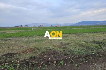 Teren intravilan, 537 mp, Orizont anunturi imobiliare Alba