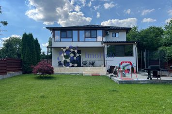 Vilă Spațioasă cu 1.000 mp Teren – Iași 4 Dormitoare+ 4 bai anunturi imobiliare Iasi