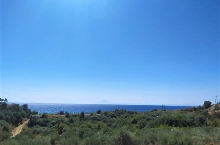 Teren construibil 4987 mp în Folia, 300 m de mare anunturi imobiliare Grecia