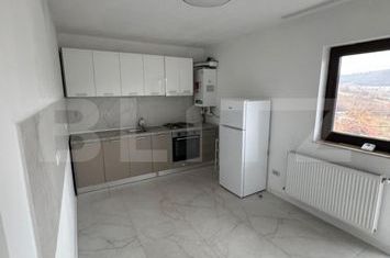 Vilă - 3 camere de inchiriat IASI - Iasi anunturi imobiliare Iasi
