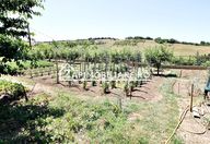 135.000 €, Teren Intravilan