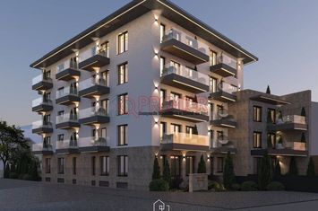 Tineretului - Parcul Carol vanzare apartament 2 camere pus curte anunturi imobiliare Bucuresti