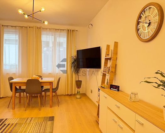 Garsonieră Sanmartin, 36 mp