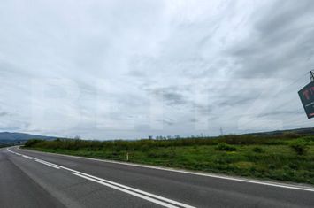 Teren de vanzare SEBES - Alba anunturi imobiliare Alba