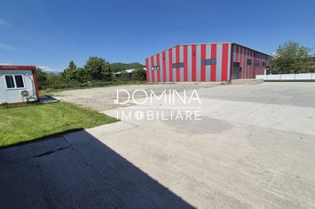 Teren de inchiriat BALESTI - Gorj anunturi imobiliare Gorj