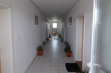 Vilă - 20 camere de vanzare MEHALA - Timis anunturi imobiliare Timis