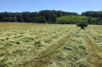 Teren arabil de 630 hectare în Galați anunturi imobiliare Galati