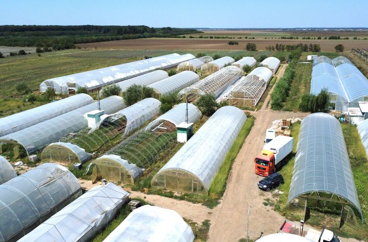 Ferma Petrachioaia 7.2 HA anunturi imobiliare Bucuresti