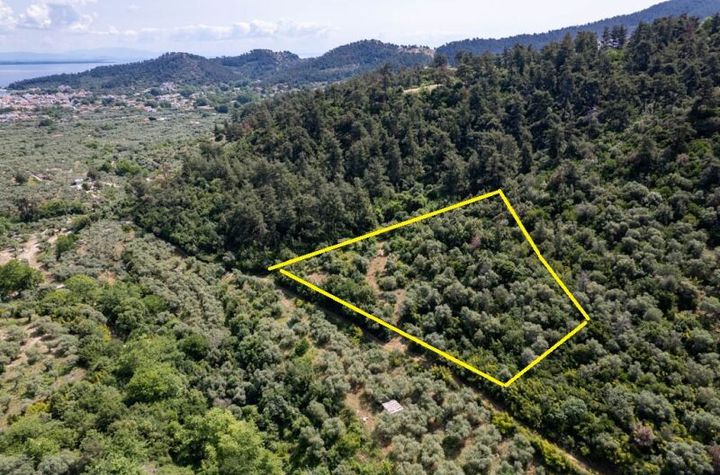 Teren construibil în Agia Marina, 4.099 mp anunturi imobiliare Grecia