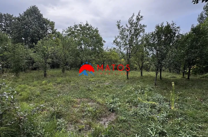Teren Intravilan de vanzare POIANA CAMPINA - Prahova anunturi imobiliare Prahova