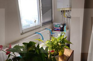 Apartament 3 camere de vanzare COMPLEX STUDENTESC - Timis anunturi imobiliare Timis