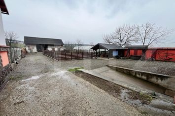 Casă - 4 camere de vanzare BISTRITA - Bistrita-Nasaud anunturi imobiliare Bistrita-Nasaud