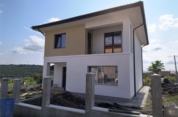 Vilă - 4 camere de vanzare VALEA ADANCA - Iasi anunturi imobiliare Iasi