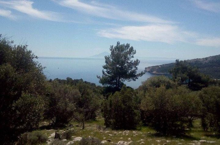 Teren construibil 7194 mp în Aliki, Thassos anunturi imobiliare Grecia