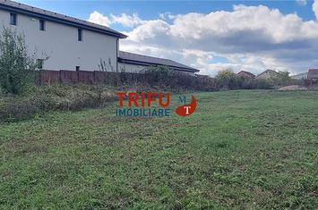 Teren Intravilan de vanzare CETATE - Alba anunturi imobiliare Alba