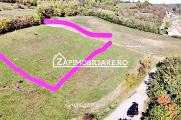 Teren 2.200 mp puz aprobat 36.euro mp anunturi imobiliare Mures