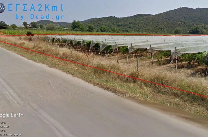 Teren construibil 10.000 mp în Mirtofito anunturi imobiliare Grecia