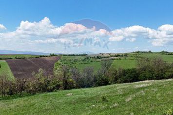 Teren  intravilan 1000 mp Sura Mare  dj 14  str Brazilor anunturi imobiliare Sibiu