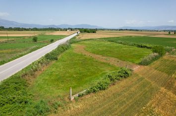 Teren construibil 6432 mp în Mavrolevki anunturi imobiliare Grecia