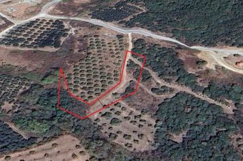 Teren 1937 mp în Agios Andreas (Kavala) anunturi imobiliare Grecia
