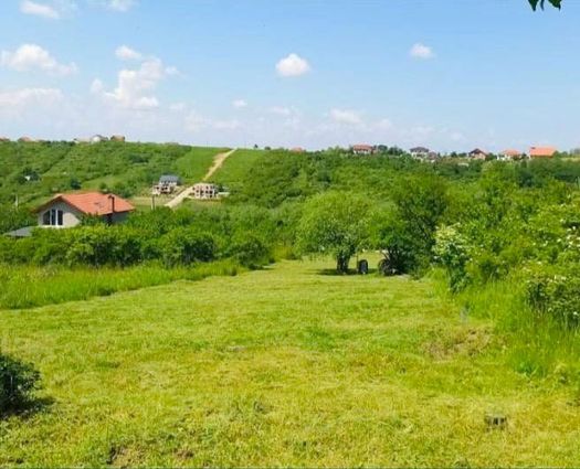 Teren Oradea, 2842 mp