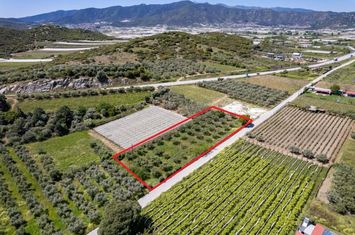 Teren 2550 mp în Nea Peramos, 400 m de plajă anunturi imobiliare Grecia