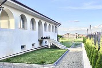 Casă - 6 camere de vanzare CETATE - Alba anunturi imobiliare Alba