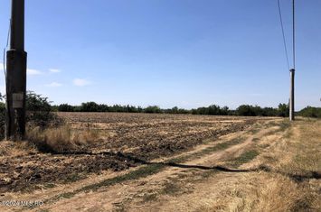Moara Vlasiei - langa Padurea Biglaru, 11.884 mp, deschidere 40 ml anunturi imobiliare Bucuresti