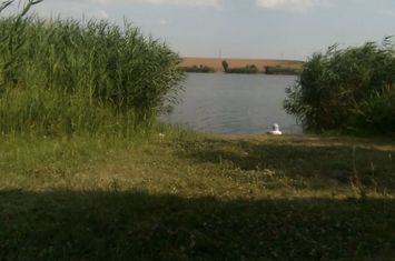 TEREN CU DESCHIDERE LA BALTA FACAU -GIURGIU ! anunturi imobiliare Giurgiu