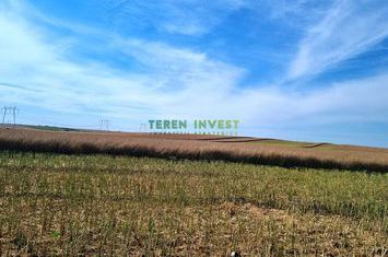 Teren Intravilan de vanzare CERNICA - Bucuresti anunturi imobiliare Bucuresti