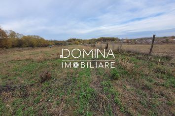 Teren de vanzare BALESTI - Gorj anunturi imobiliare Gorj