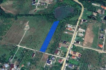 VANZARE TEREN INTRAVILAN - 2800 MP. - CAMPINA anunturi imobiliare Prahova