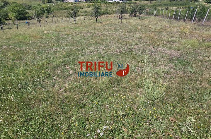 Teren Intravilan de vanzare CENTRAL - Alba anunturi imobiliare Alba