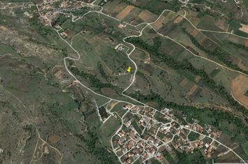 Teren 8.164 mp în Ekali (Zarkadia), Nestou anunturi imobiliare Grecia