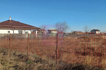 Săbăreni, teren intravilan construibil, cu utilităti in apropiere anunturi imobiliare Giurgiu