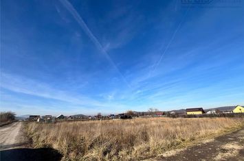 Teren Intravilan de vanzare HARMAN - Brasov anunturi imobiliare Brasov