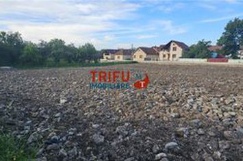 Teren Intravilan de vanzare BUCERDEA VINOASA - Alba anunturi imobiliare Alba