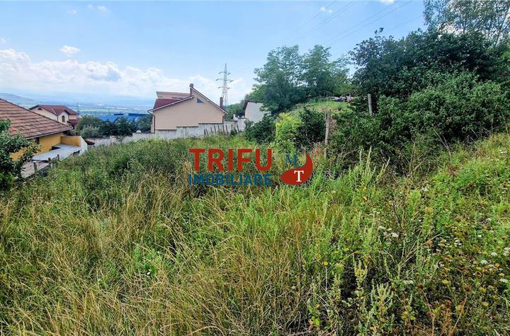 Teren Intravilan de vanzare CETATE - Alba anunturi imobiliare Alba