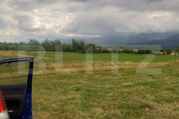 Teren de vanzare CARTISOARA - Sibiu anunturi imobiliare Sibiu