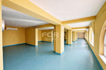 Spatiu comercial P+M, 200mp de inchiriat zona Oncea anunturi imobiliare Bihor