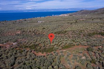 Teren construibil 4.237,72 mp în Skala Kallirachis anunturi imobiliare Grecia