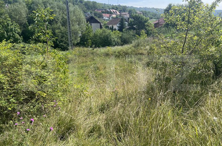 Teren de vanzare DAMBU  - Mures anunturi imobiliare Mures
